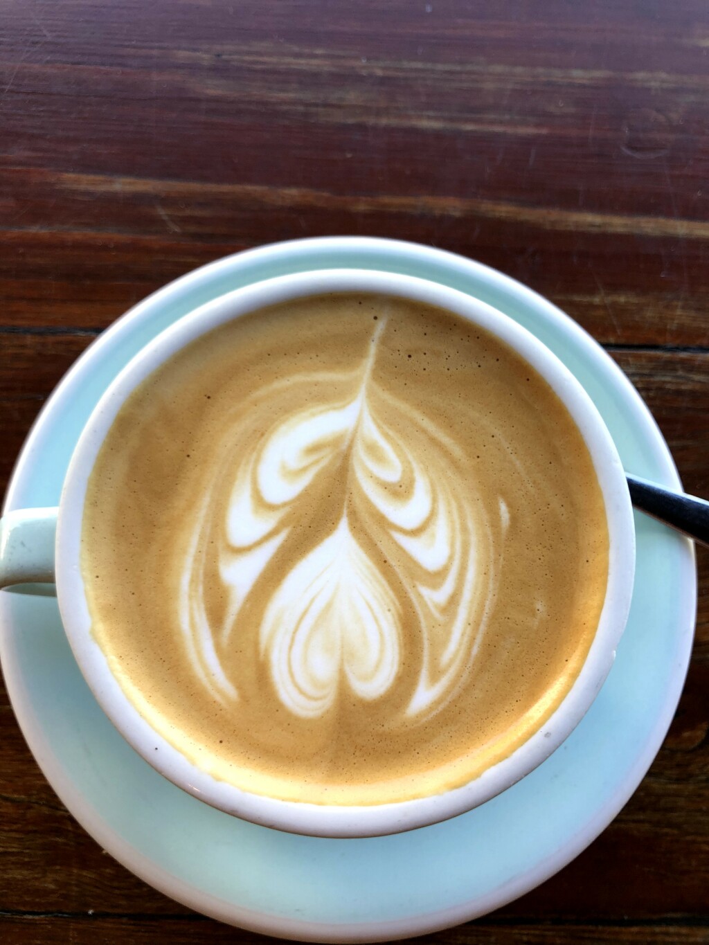 flat white at the Wedge, Glebe