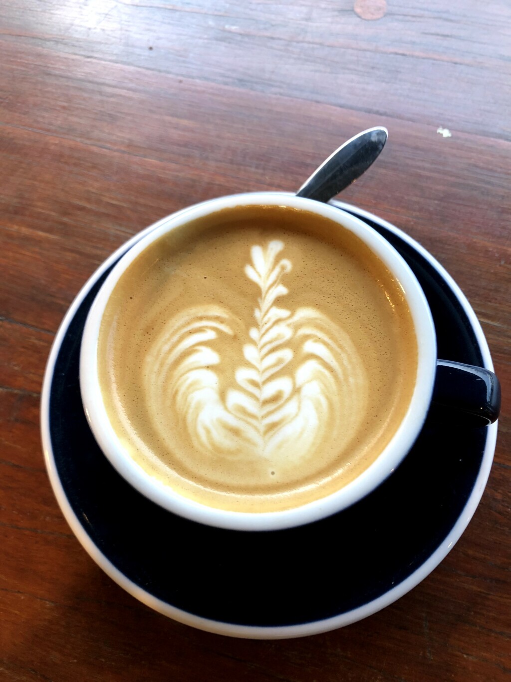 flat white at the Wedge, Glebe