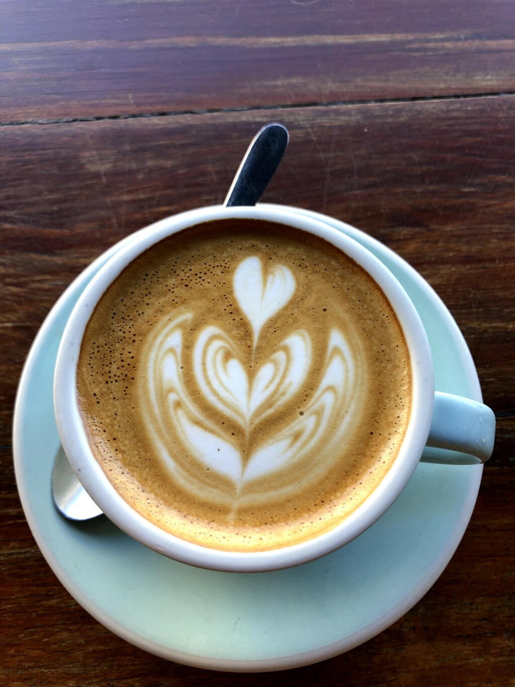 flat white at the Wedge, Glebe